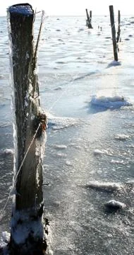 Winter landscape Stock Photos