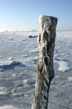 Winter landscape Stock Photos