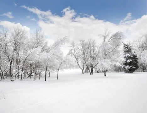 Winter landscape Stock Photos