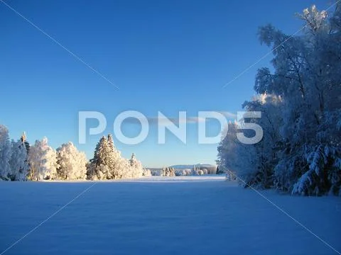 Winter landscape Stock Photos