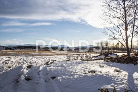 Winter landscape Stock Photos