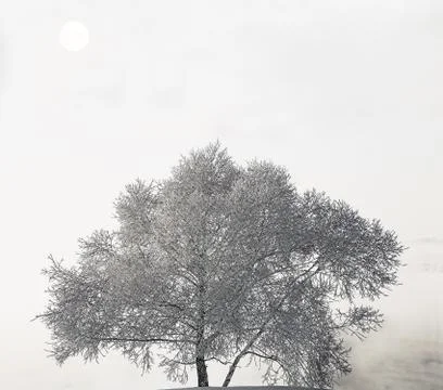 Winter landscape 스톡 사진