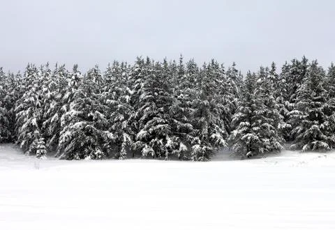 Winter landscape Stock Photos
