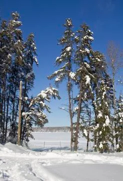 Winter landscape Foto stock