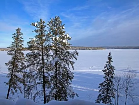 Winter landscape Stock Photos