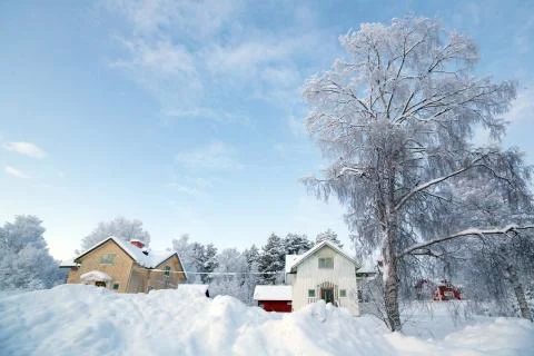 Winter landscape Stock Photos