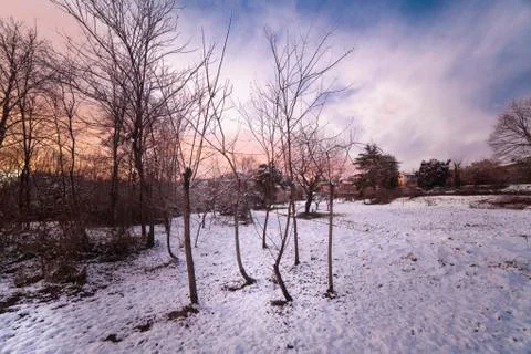 Winter landscape Stock-Fotos