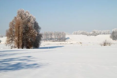 Winter landscape Stock Photos