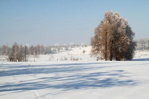 Winter landscape Foto stock