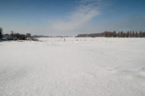 Winter landscape Foto stock