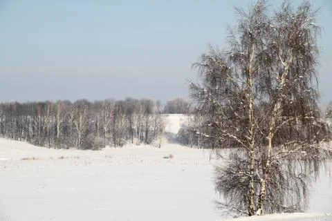 Winter landscape Foto stock