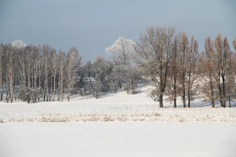 Winter landscape Stock Photos
