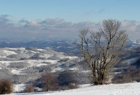 Winter landscape Stock Photos
