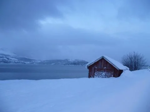 Winter landscape 스톡 사진