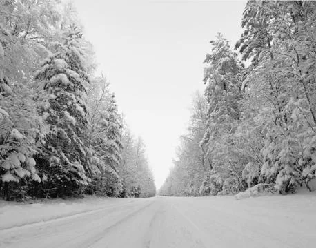 Winter landscape Stock Photos