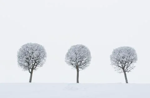Winter landscape Stock Photos