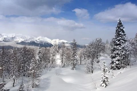 Winter landscape Stock Photos