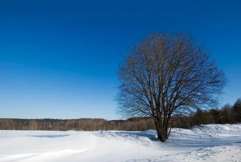 Winter landscape Stock Photos