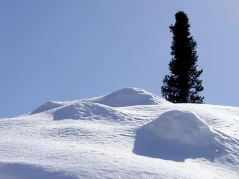 Winter landscape Stock Photos