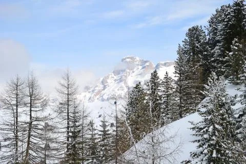 Winter landscape Stock Photos