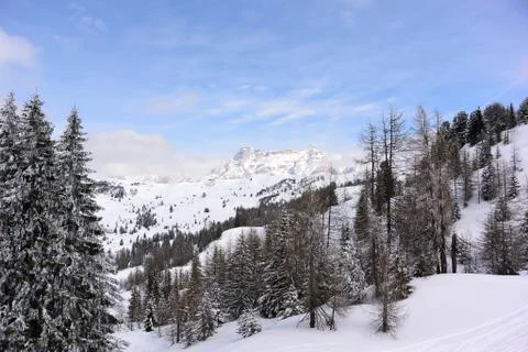 Winter landscape Foto stock