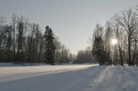 Winter landscape Stock Photos