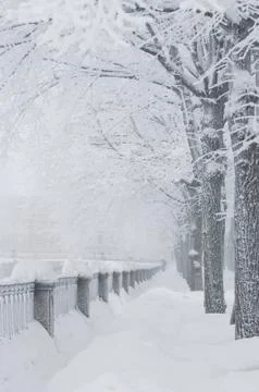 Winter landscape Stock Photos