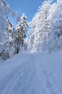 Winter landscape Stock Photos