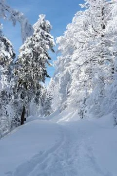 Winter landscape Foto stock