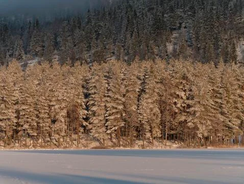 Winter landscape Foto stock