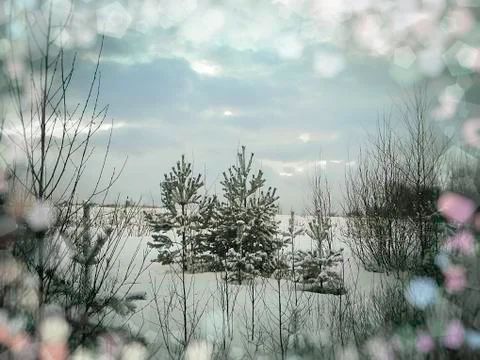 Winter landscape Stock Photos