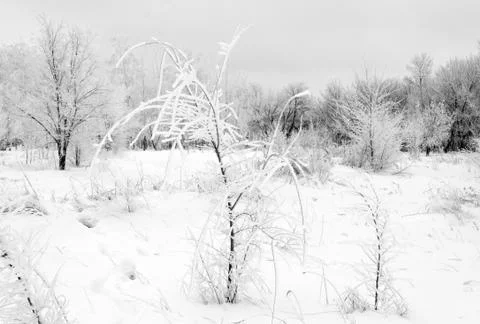 Winter landscape Stock Photos
