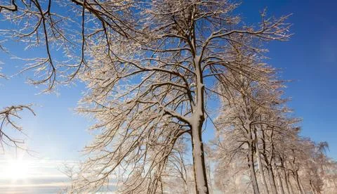 Winter landscape Stock Photos
