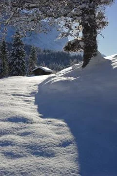 Winter landscape Stock Photos