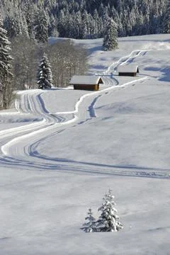 Winter landscape Stock Photos