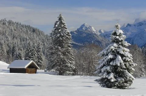 Winter landscape Stock Photos