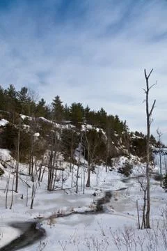 Winter landscape Stock Photos