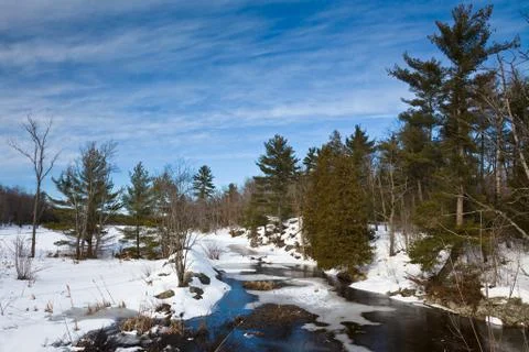 Winter landscape Stock Photos