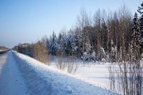 Winter landscape. 스톡 사진