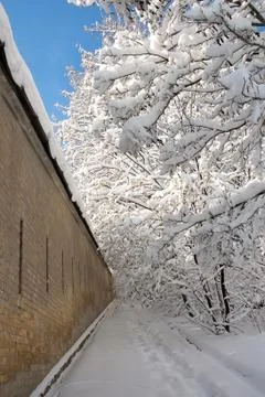 Winter landscape. Stock Photos