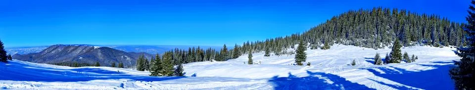 Winter landscape Stock Photos