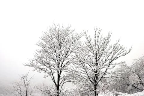 Winter landscape Stock-Fotos