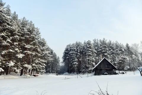 Winter landscape Foto stock