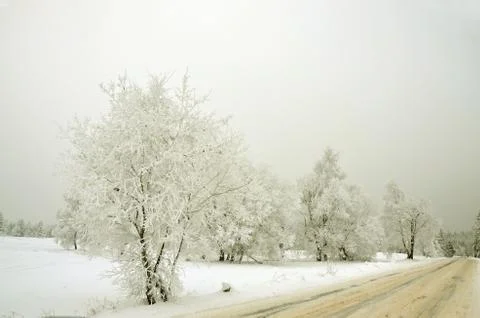 Winter landscape Foto stock