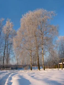 Winter landscape Stock Photos