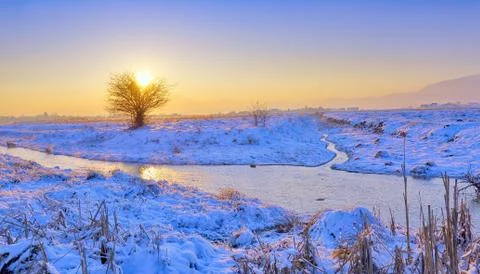 Winter landscape Stock Photos