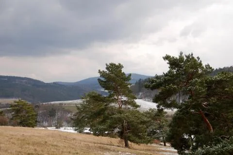 Winter landscape Stock Photos