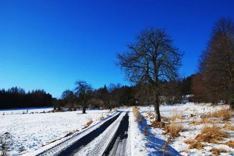Winter landscape Stock Photos