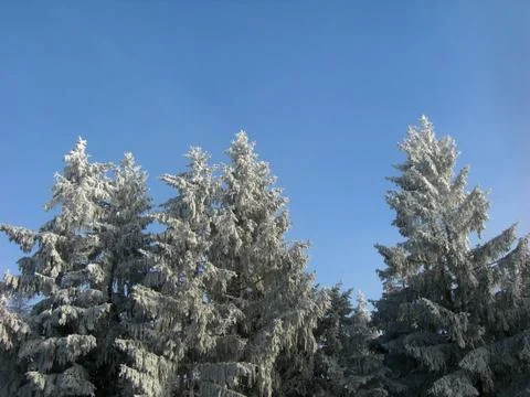 Winter landscape Foto stock