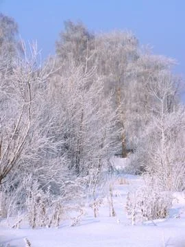 Winter landscape Stock Photos